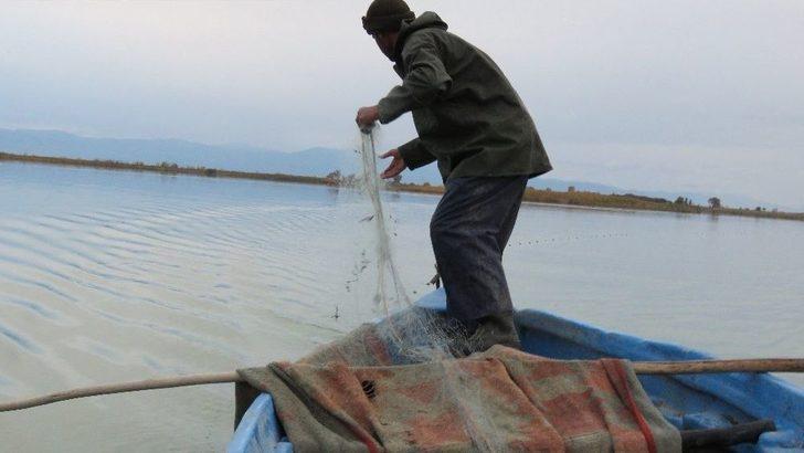 Çin Sazanı Balıkçıların Korkulu Rüyası Oldu G1