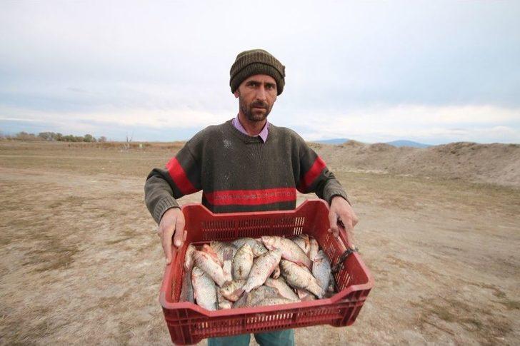 Çin Sazanı Balıkçıların Korkulu Rüyası Oldu G2