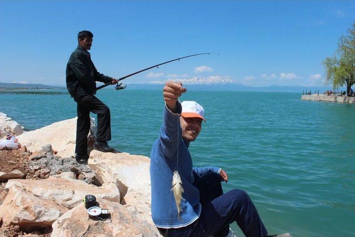 Çin Sazanı Balıkçıların Korkulu Rüyası Oldu G4