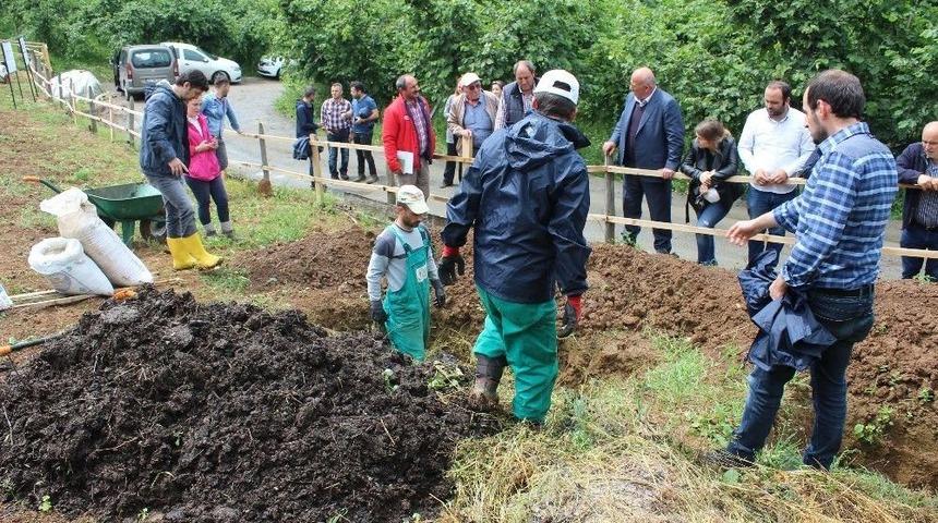 Bitkisel Komposta &Uuml;retici Talebi Artıyor