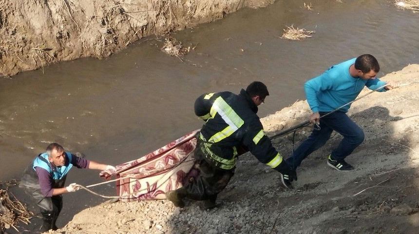 Trafik Kazası Sonrası Dereye D&uuml;şen Sokak K&ouml;peği Kurtarıldı