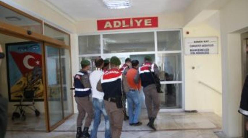 Besiciyi Vurup, Otlattığı Hayvanlarını &Ccedil;aldılar