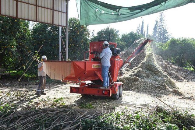 Konyaaltı Belediyesi, ‘güzelbahçe’ye Örnek Oldu