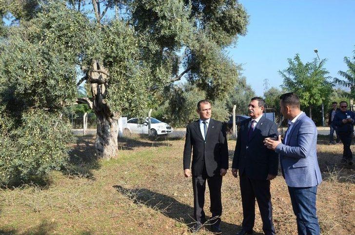 Milas’ta Halkalı Lekeyle Mücadelede Yüzde 80 Verim G1