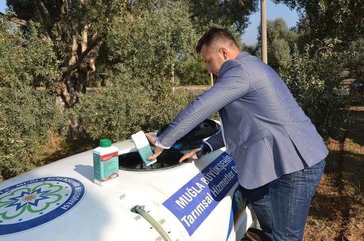 Milas’ta Halkalı Lekeyle Mücadelede Yüzde 80 Verim G2