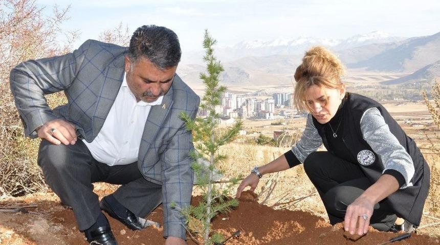 Şehitler Anısına 500 Fidan Diktiler