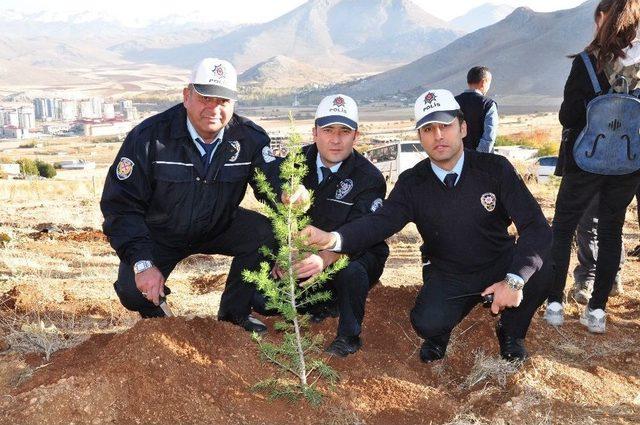 Şehitler Anısına 500 Fidan Diktiler