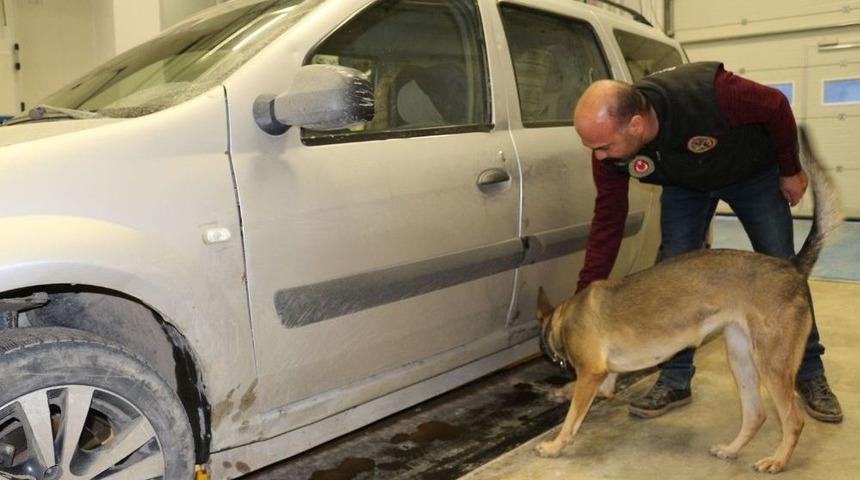 Ka&ccedil;ak&ccedil;ıların Korkulu R&uuml;yası &lsquo;lula&rsquo;