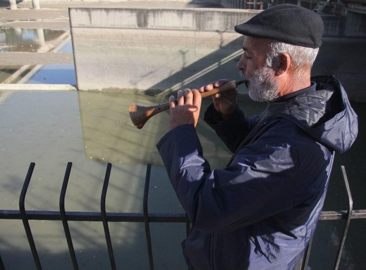 Nehirde Su Kesilince Binlerce Balık Telef Oldu