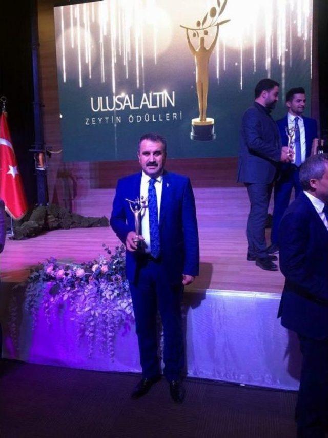 T&uuml;rkiye 650 Bin Ton Zeytinyağı Ve 1,200 Milyon Ton Sofralık Zeytin Hedefliyor 1