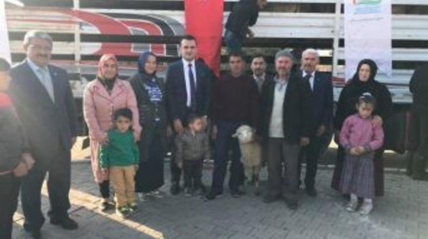 Altıntaş&rsquo;da 148 Adet K&uuml;&ccedil;&uuml;kbaş Hayvan Dağıtıldı