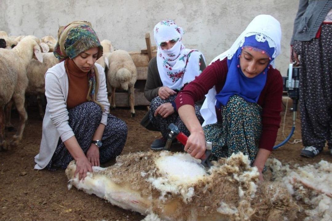 Kadınlar, Erkeklerin İşini Elinden Aldı