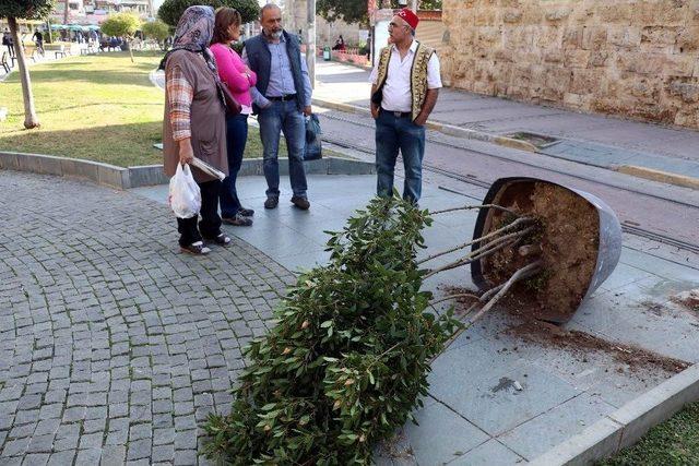 Kaza Yapan Genç İğneden Korkunca Devreye Polis Girdi