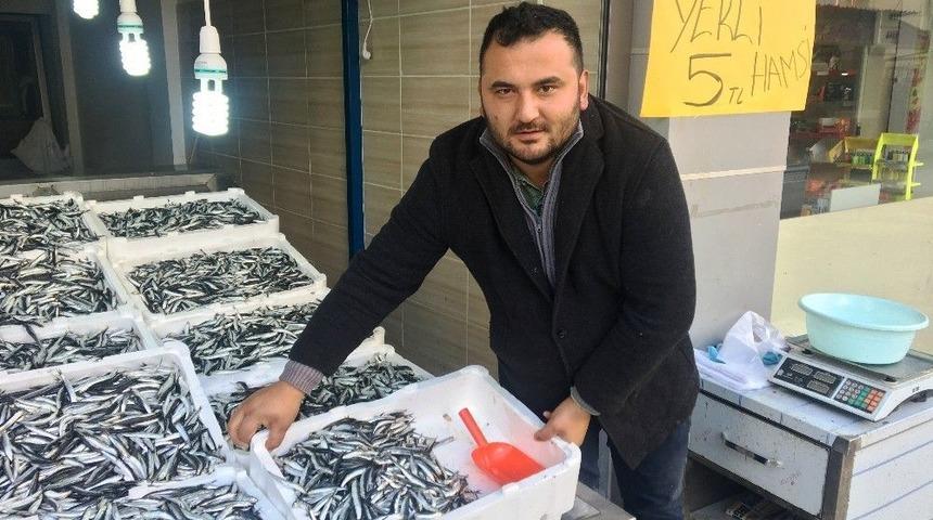 Hamsinin Kilosu 5 Tl&rsquo;ye İndi