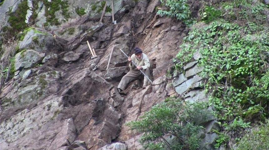 Artvin&rsquo;in &Ouml;r&uuml;mcek Dedesi
