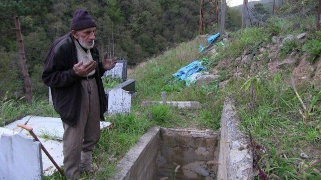 Artvin’in Örümcek Dedesi