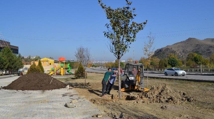 Başkan Vergili: "yeşil Alanları Geleceğe Taşımak İ&ccedil;in &Ccedil;alışıyoruz"