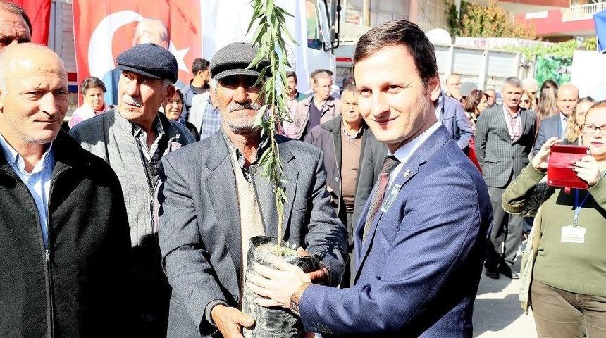 Mersin&rsquo;de 15 Bin Badem Fidanı &Uuml;reticiyle Buluşturuldu