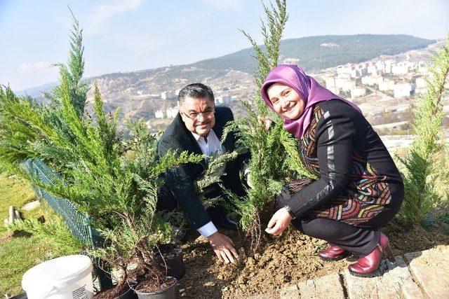 11.11.2017 Günü Saat 11:11’de 11 Bin 11 Adet Ardıç Fidanı Dikildi