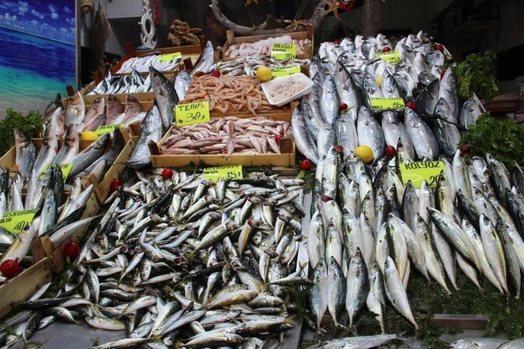 Palamut Zam Şampiyonu