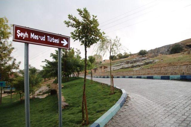 Şeyh Mes&rsquo;ud T&uuml;rbesinin Yolu Revize Ediliyor 2