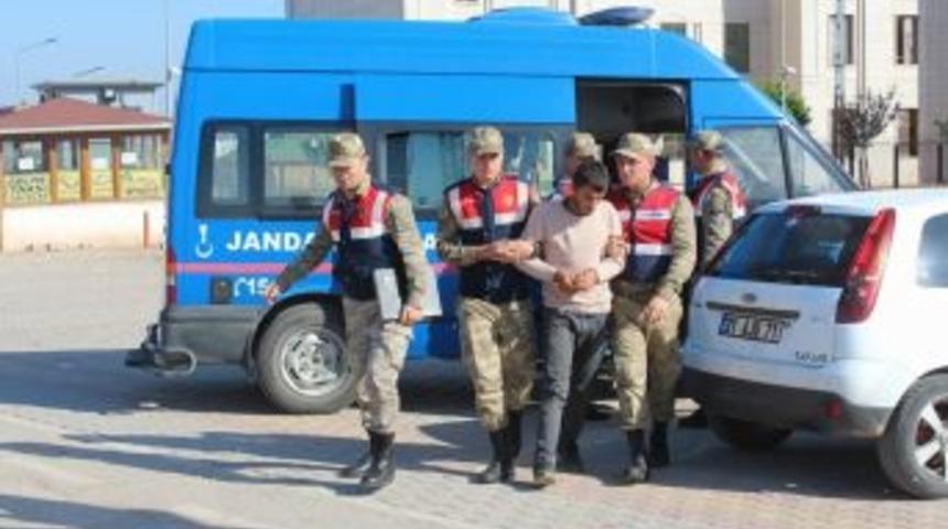 1 Haftada 1 Ton Zeytin &Ccedil;alan Hırsız Yakalandı