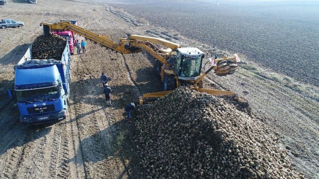 (&ouml;zel Haber) Pancar &Uuml;reticisinin Verimli Toprağı Artık Tarlada Kalıyor