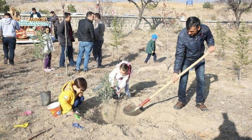 Ulaşım A.ş. 500 Fidanı Toprakla Buluşturdu