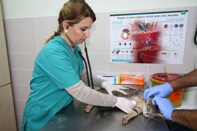 Bayraklı&rsquo;da Kuduza Ge&ccedil;it Yok 1