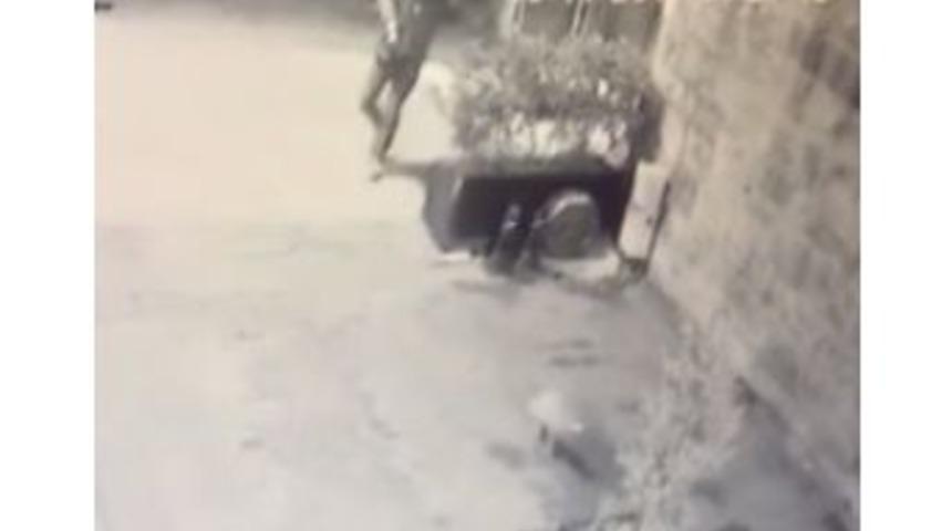 Üsküdar’da Silahlı Maganda Kedilere Kurşun Yağdırdı