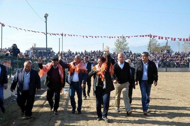 Boğa Güreşleri Türkiye Şampiyonası Renkli Görüntülere Sahne Oldu G4