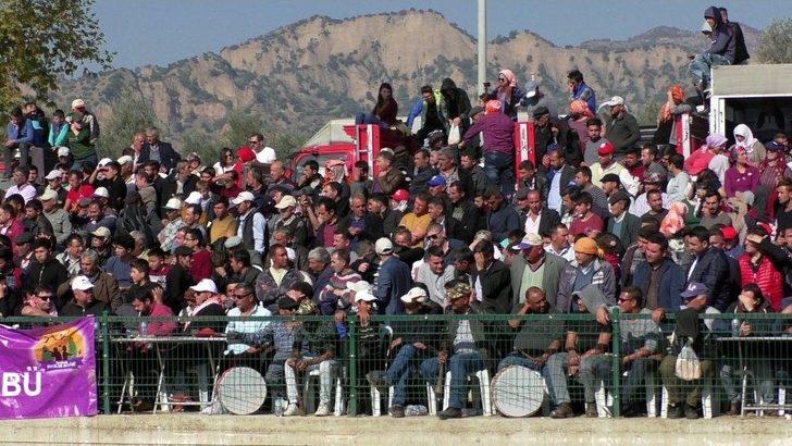 Boğa Güreşleri Türkiye Şampiyonası Renkli Görüntülere Sahne Oldu G5