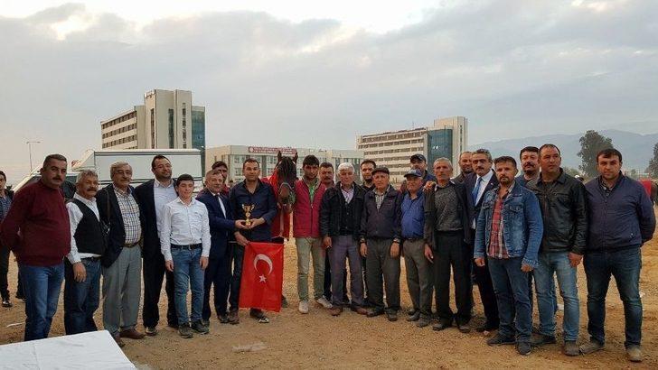 Rahvan Atlar Nazilli’de Yarıştı G1