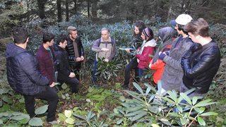 Yabani Nerede, Onlar Orada