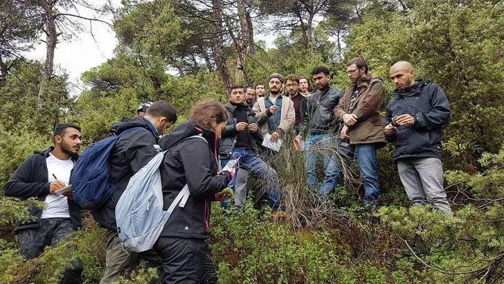 Yabani Nerede, Onlar Orada G2