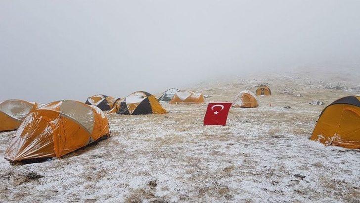 Yabani Nerede, Onlar Orada G4