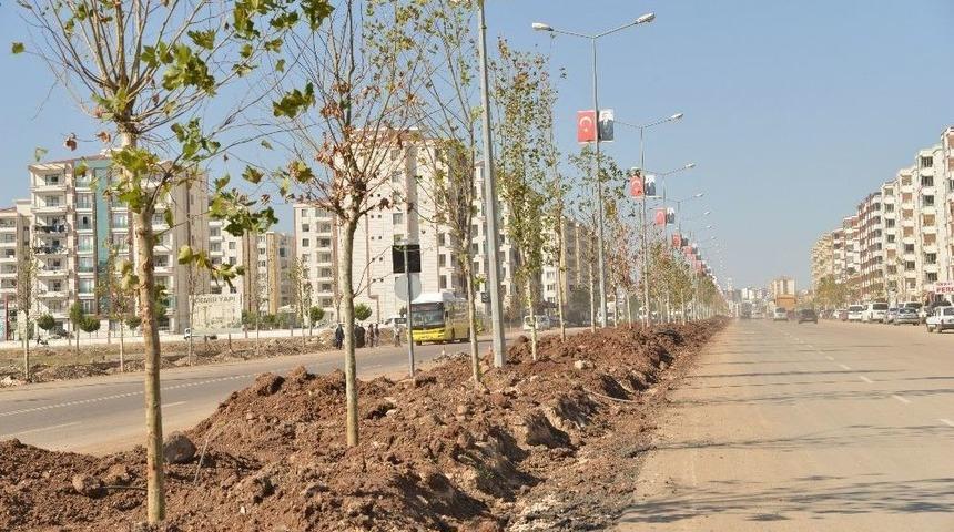 B&uuml;y&uuml;kşehir, Diyarbakır&rsquo;ı Ağa&ccedil;landırıyor