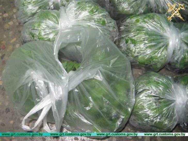 Bu kadarına pes! 12 valizi tek tek açınca... G2