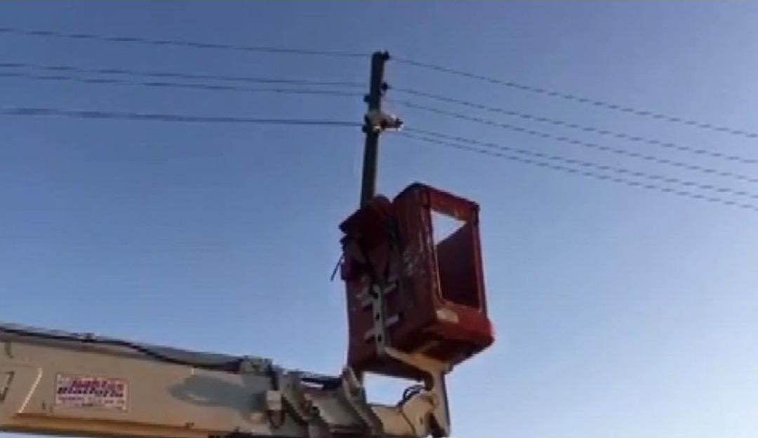 Yaramaz Kedi Yanmaktan Son Anda Kurtuldu