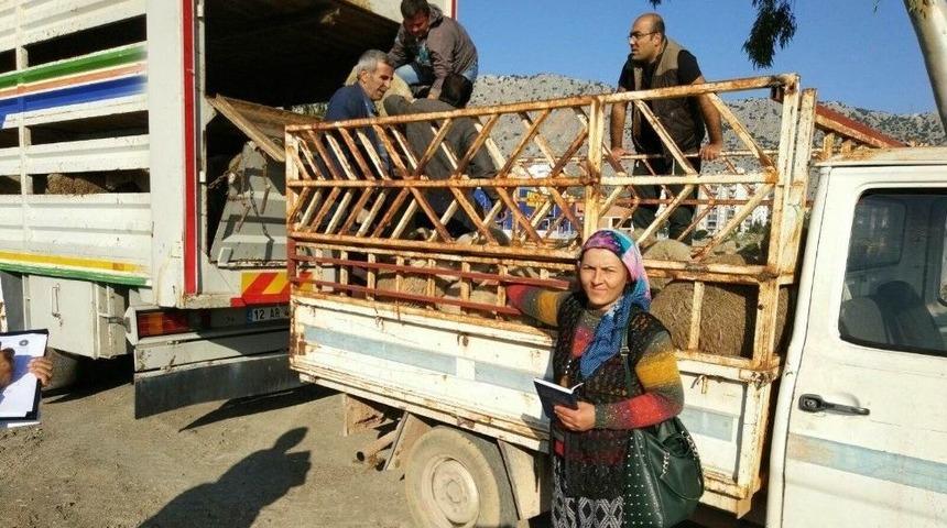 Antalya&rsquo;da Gen&ccedil; &Uuml;reticilere Bin 260 Dişi Koyun Teslim Edildi