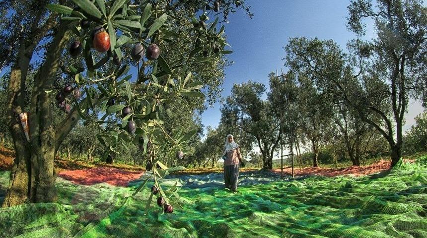 Bursa&rsquo;nın &lsquo;g&uuml;z&rsquo; Fotoğraflarına &Ouml;d&uuml;l Yağmuru