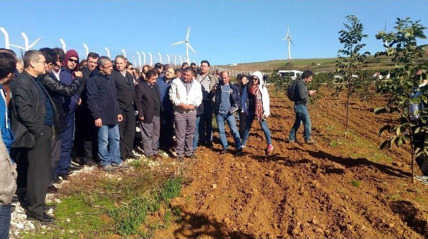 Ender Muhammed G&uuml;m&uuml;ş: K&uuml;tahya Artık Ceviz &Uuml;retiminin De Merkezidir