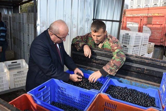 Başkan Albayrak, Süleymanpaşa Ve Şarköy İlçelerinde Çalışmaları İncelendi