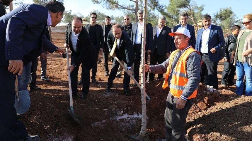 &rsquo;şehrimi Seviyorum Ağacımı Dikiyorum&rsquo; Kampanyası Devam Ediyor