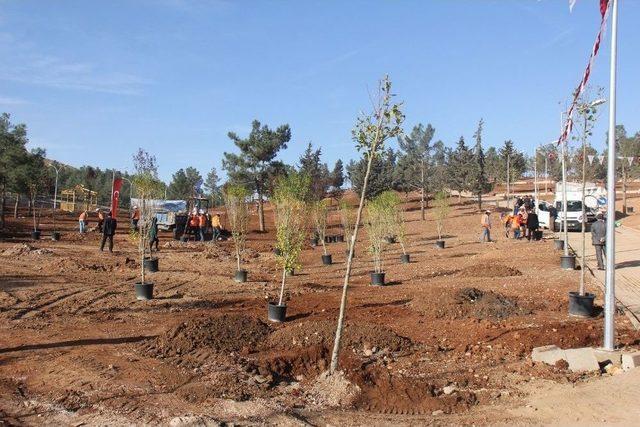 ’şehrimi Seviyorum Ağacımı Dikiyorum’ Kampanyası Devam Ediyor 1