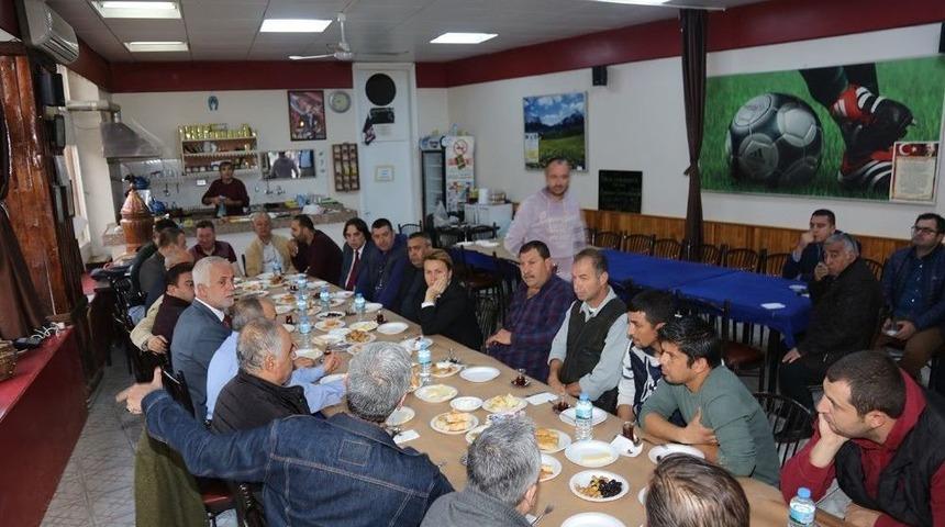 Enginar Dikim Alanı Y&uuml;zde 42 Arttı