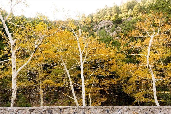 Belemedik Sonbaharda Bir Başka Güzel G3