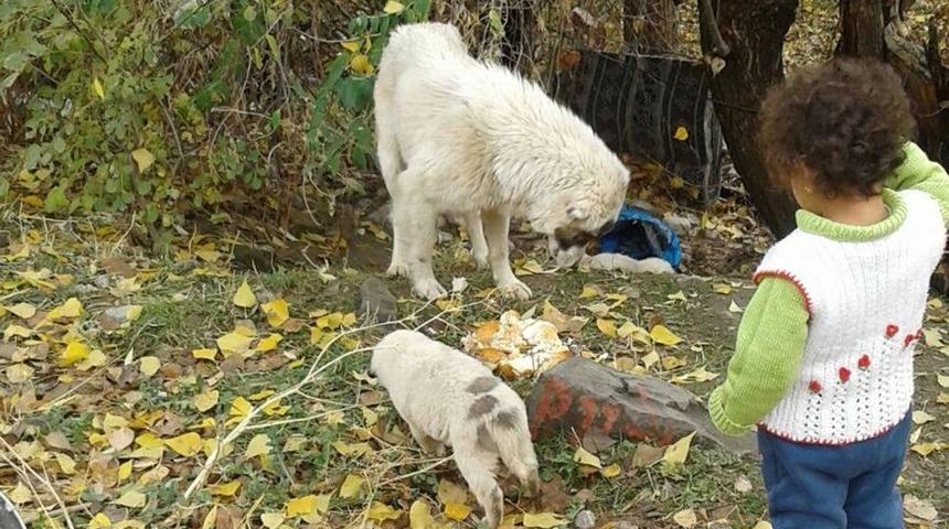 Kur&rsquo;an Kursu &Ouml;ğreticisinden &Ouml;rnek Davranış
