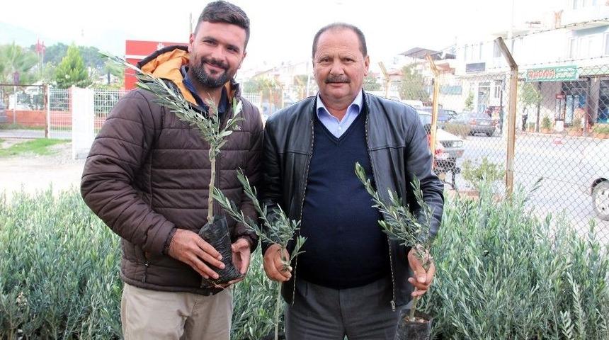 Fethiye&rsquo;de &Uuml;reticilere Zeytin Fidanı Desteği