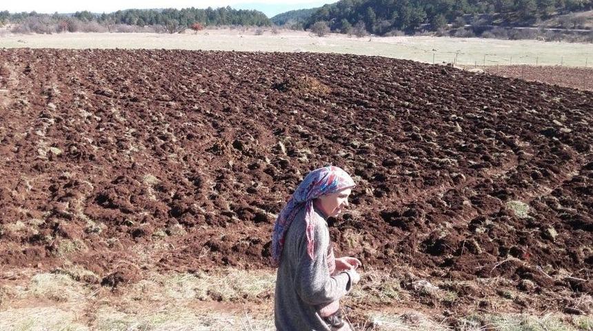 Karab&uuml;k&rsquo;te Lavanta Denemesi